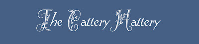 Catteryhattery_blogger_preview