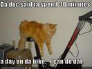 Funny-pictures-cat-excercise-bike_preview
