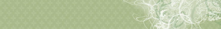 Banner_740x100px_preview