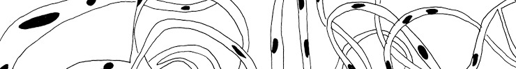 Banner_preview