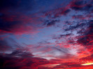 Nature_s_artwork_small_preview