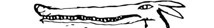 Doonk_preview