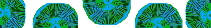 Shop_banner_copy_preview