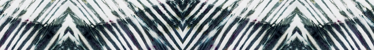 Baner_preview