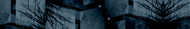 99-indyga_preview