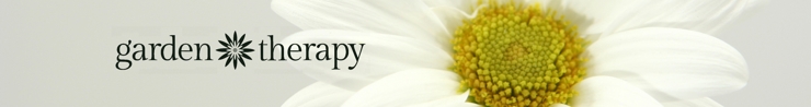 4x6_daisy_preview