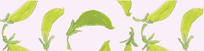 Farmers_market_snap_peas_ribbon_8-28-2015_preview