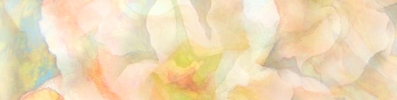 Thoughts_of_spring_spoonflower_banner_preview