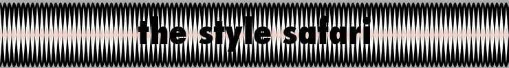 The_style_safari_banner_preview